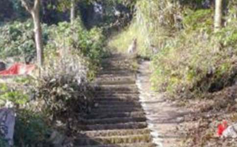 员工爬山拓展活动方案