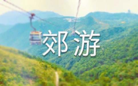 郊游活动方案的