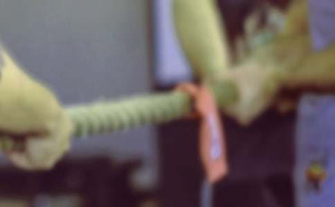 拔河比赛活动的策划书