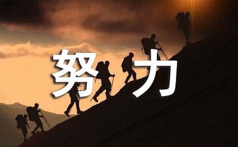 工作总结今后努力方向