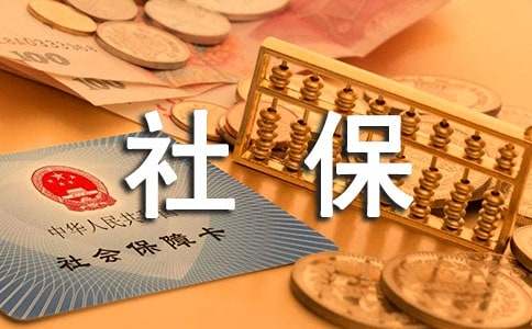 社保工作总结