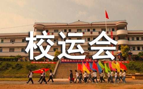 高中生校运会工作总结